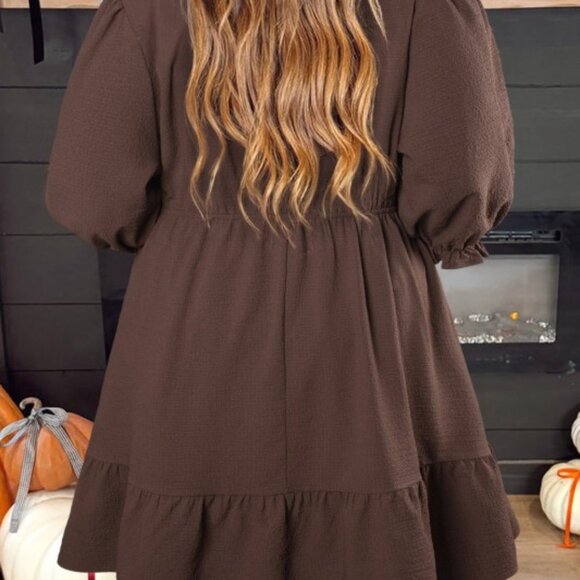 Plus Size Frilled Trim V-Neck Puff Sleeve Textured Dress - Picture 2 of 4